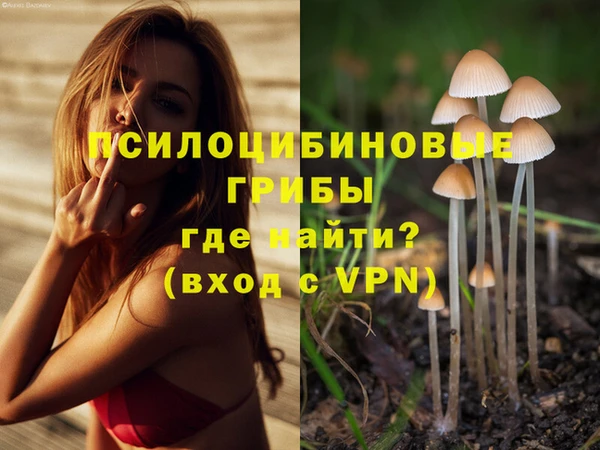 таблы Новодвинск