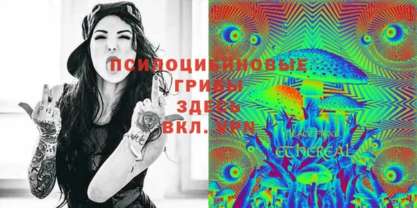 мескалин Новозыбков