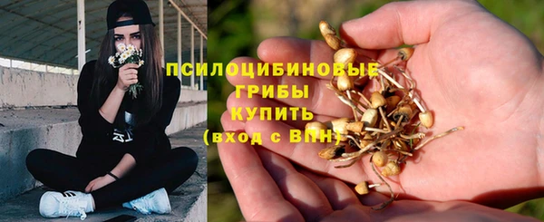 таблы Новодвинск