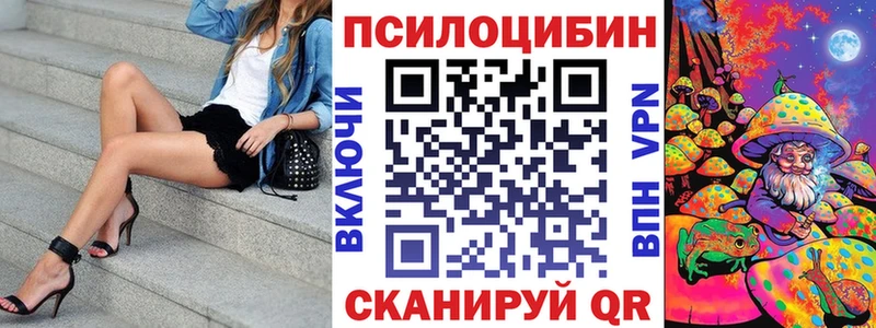 Купить  Новомичуринск  Галлюциногенные грибы Psilocybe 